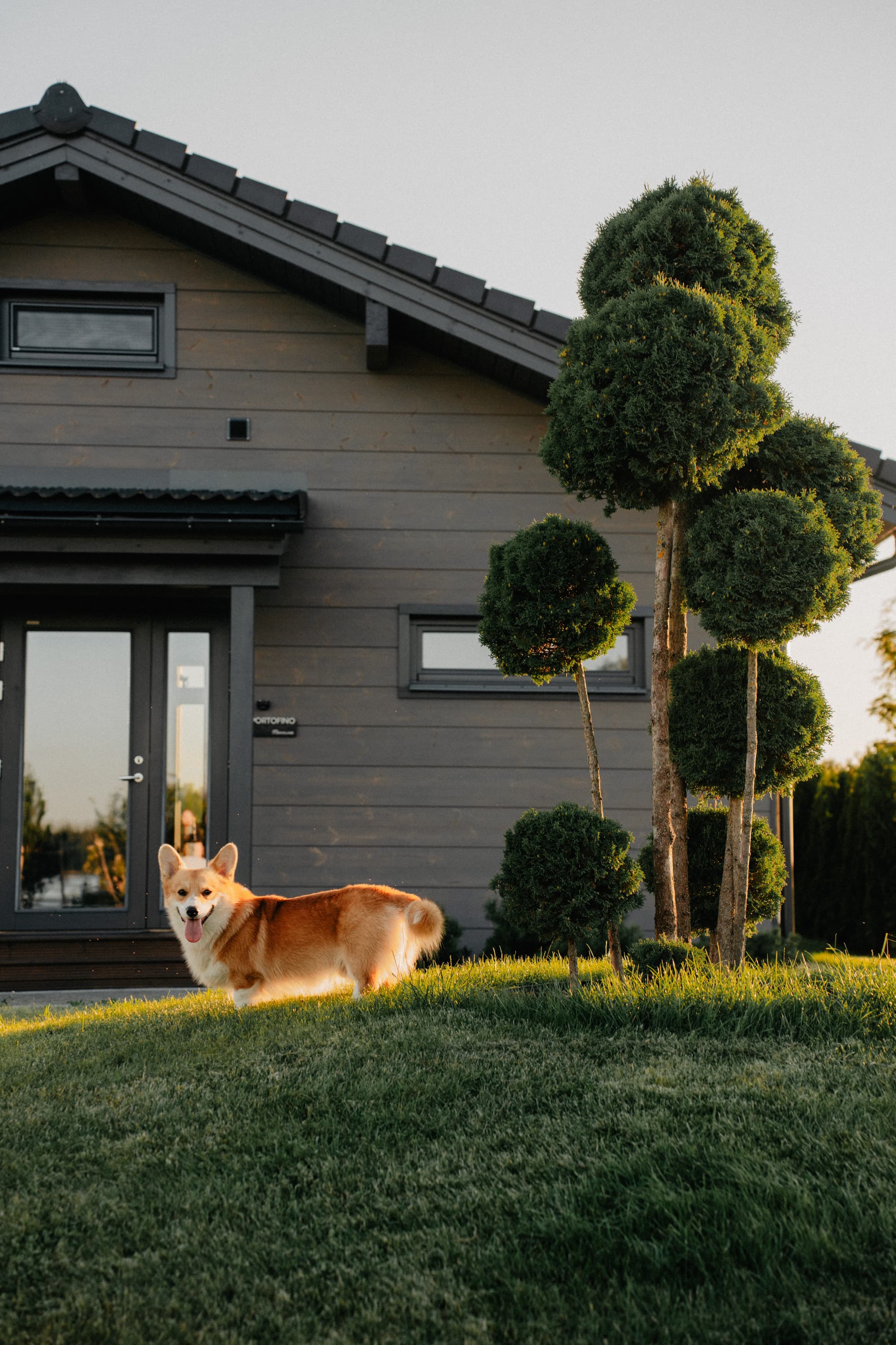 Birthday celebration lawn scene at SeoVillage with a dog in the foreground